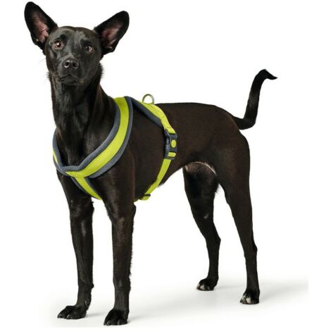Arnés para Perro Hunter London Comfort XS-S 39-47 cm Lima 4016739680594 S6102560 Hunter (1/3)