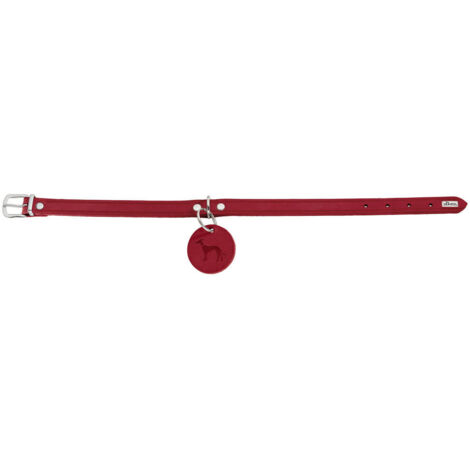 Collar para Perro Hunter Aalborg Rojo L 45-55 cm (1/4)