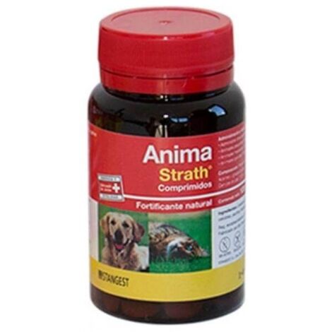 STANGEST ANIMA STRATH 120CPD (1/3)