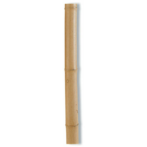 Tuteur Bambou Naturel Soutien Végétal Décoratif - Nortene (1/2)