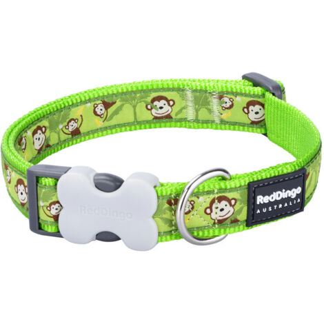 Collar para Perro Red Dingo STYLE MONKEY LIME GREEN 15 mm x 24-36 cm (1/2)