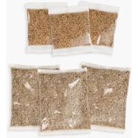 Kit de hierba Cat Grass Kit Catit
