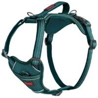 Arnés para Perro Company of Animals Turquesa L 42-65 cm