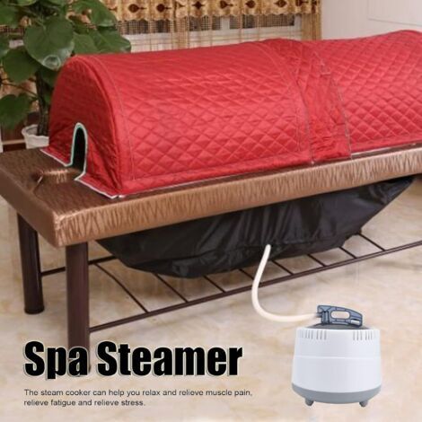 Générateur de vapeur pour sauna VGEBY 4.5KW - Contrôle automatique de la température et du temps