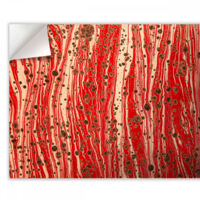 MARBLED PAPER - RED - Pellicola adesiva in PVC finitura opaca - Misura: 100x1000 cm