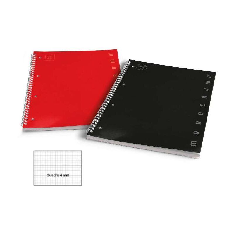 PIGNA Quaderno Maxi MONOCROMO Rig.4M 21 fogli - Colori Assortiti