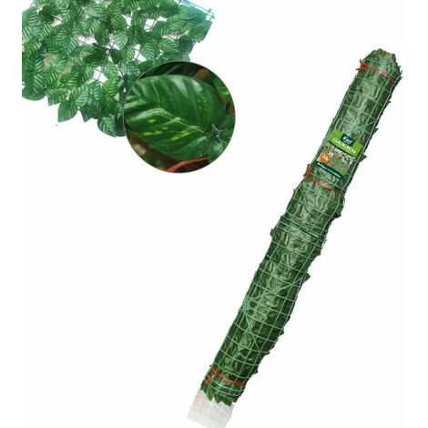 Fahrenheit Conchiglia Ridere Recinzione Verde Per Giardino Amichevole Ispirare O - Foto 7