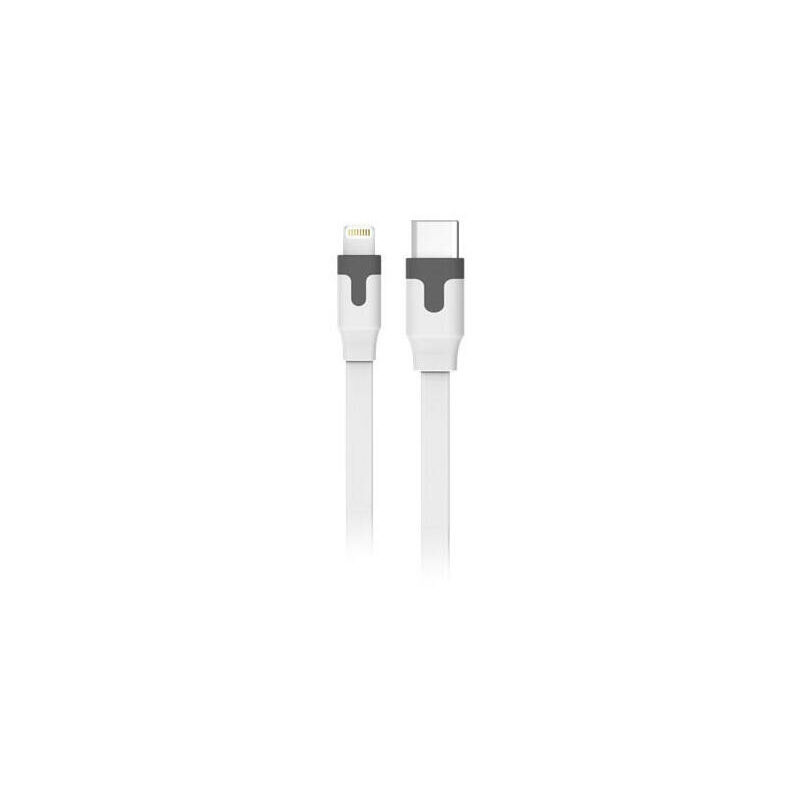 CABLE USB-A A LIGHTNING DE 10 - Herramientas RYOBI