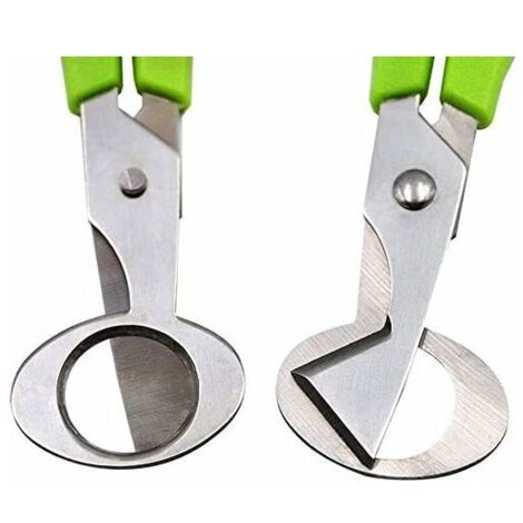 Boulons Hexagonaux, Écrous Et Rondelles INOX - Lot 1/4, 5/16, 3/8, 7/16, 1/2 UNF, Acier Inoxydable