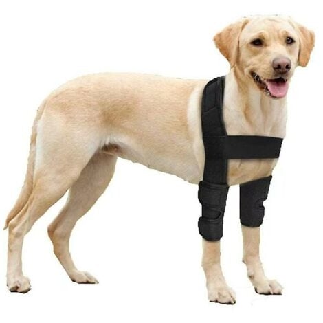 GABRIELLE Coudière respirante pour chien pour coude et épaule de chien, eczéma, dysplasie, arthrose, callosités du coude, compression (S)
