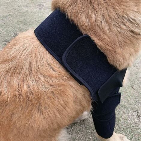 GABRIELLE Coudière respirante pour chien pour coude et épaule de chien, eczéma, dysplasie, arthrose, callosités du coude, compression (S)