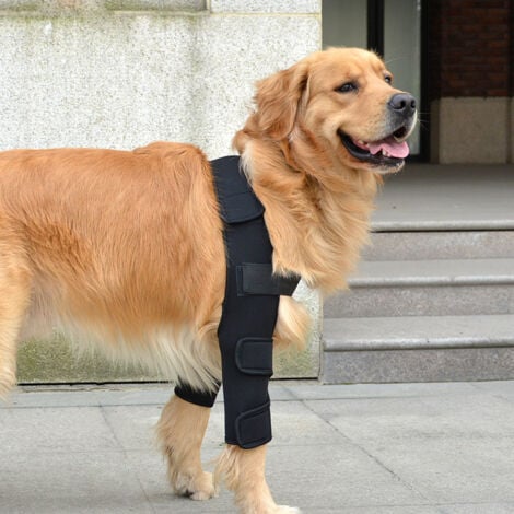 GABRIELLE Coudière respirante pour chien pour coude et épaule de chien, eczéma, dysplasie, arthrose, callosités du coude, compression (S)