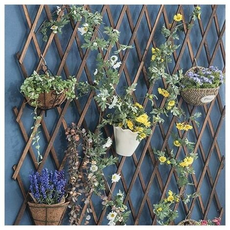 Treillis De Jardin en Fer Extensible Grille Fleurs Grand Treillis Jardin  Treillis en Métal Filet Grimpantes Tuteur pour Grimpantes : :  Jardin