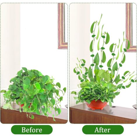 Clips Pour Plantes Grimpantes - 30 Pièces - Support Vigne Murale Ou Bureau