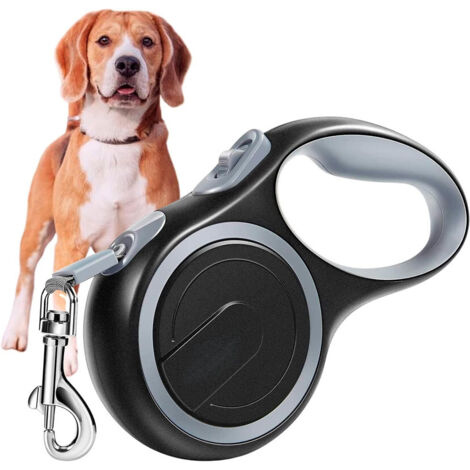 Harnais Pour Chat Avec Laisse Rétractable - Confortable, Réglable Et Sécuritaire Pour Promenades