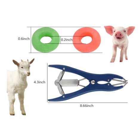 100 Anneaux élastiques Verts Pour Castration Veaux Chèvres - 15mm - Neuf - Élastrator Agricole