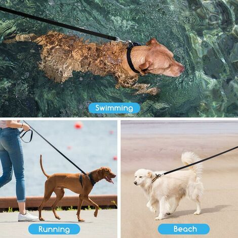 Longe pour Chien  15m, Laisse de Dressage pour Chien pour Chiens de Petites à Grandes Taille
