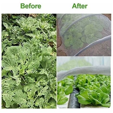 Filet De Jardin Pour Légumes - Maille Fine - Blanc - Respirant - Protection Contre Les Insectes