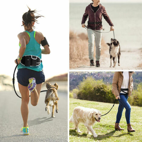 Laisse Chien Laisse Mains Libres Chien Jusqu'à 110kg Absorption de Choc, Confortable, Couture Réfléchissante, Idéal pour Course à Pied, Jogging et Marche (Bleu)