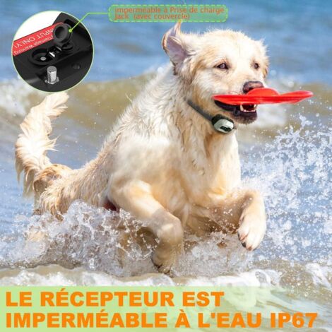 Collier Anti Aboiement Chien Rechargeable - 3 Modes Choc Électrique/Vibration/Son Aide au Dressage Inoffensif Automatique - Réglable pour Petit/Moyen/Gros Chien, Étanche IP67 Noir