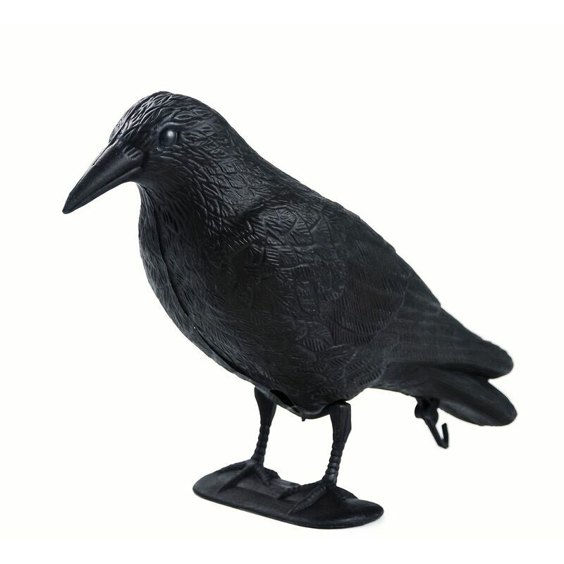 Corbeau de jardin anti-pigeon, lot de 10, décoration épouvantail oiseaux  pigeon alarmistes jardin figure noir