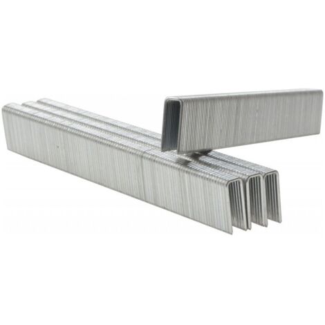 Agrafes Bostitch 1924001Z 8x40 mm 3000 unités