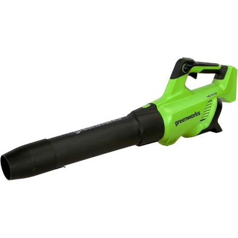 Souffleur de feuilles sans fil Greenworks G40ABK2II 40 V 1x2 0 Ah accu.