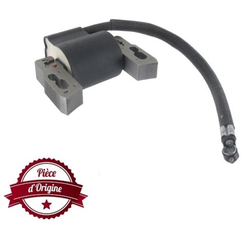 Bobine d'allumage BRIGGS ET STRATTON 592445 (1/2)