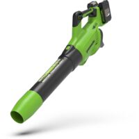 Souffleur de feuilles sans fil Greenworks GD24X2AB 48 V (sans batterie et chargeur)