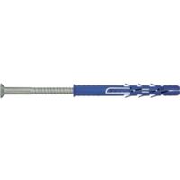 Broche en nylon avec vis RawlPlug R-FF1-N-10L100 9 8x100 mm 7 0x107 mm T40 25 unités