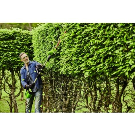 GREENWORKS - Taille-haie sans Fil à Deux Sections 60 V, tête pivotante à 7 Positions, Lames découpées au Laser de 50 cm, Moteur sans balais, Comprend Une Batterie 2 Ah et Un Chargeur 2 A