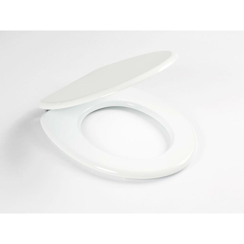 4 set di viti di fissaggio per sedile WC, viti di bulloni per sedile WC, ricambio universale con dadi e rondelle | Leroy Merlin