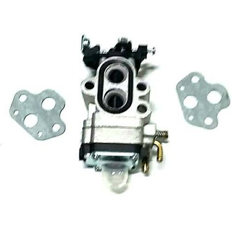 RICAMBIO PAPILLON - ASPIRATORE SOFF. (54113) KIT CARB 9-10