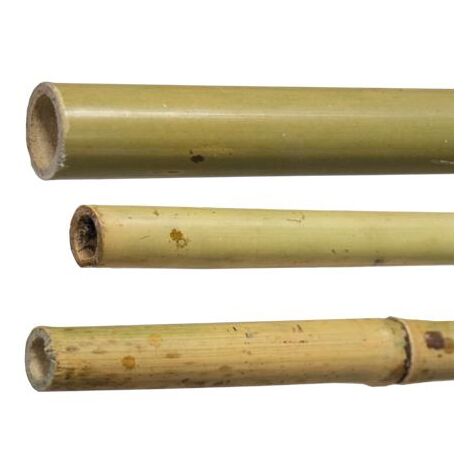 25 PZ CANNE CANNA DI BAMBOO PALI PALETTI TUTORE H.180 CM SPESSORE  Ø 22/24 (1/2)