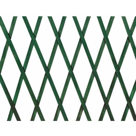 Traliccio estensibile per piante rampicanti in pvc verde 1 x 3 m – Stabilizzato ai raggi UV – Listelli rinforzati per alta resistenza (1/9)
