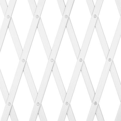 TRALICCIO ESTENSIBILE PVC BIANCO 4X1 MT.PAPILLON (1/3)