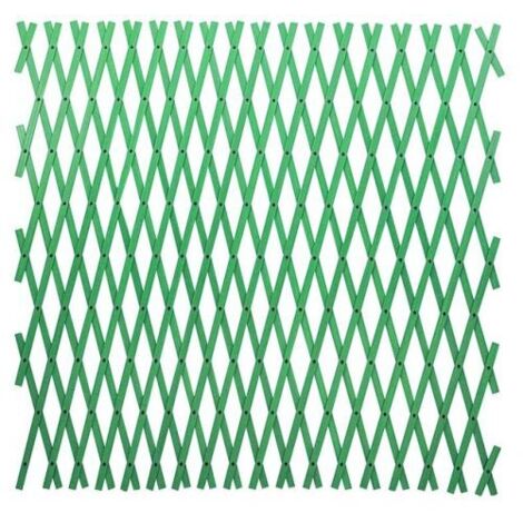 TRALICCIO ESTENSIBILE PVC VERDE 4X1 MT.PAPILLON (1/5)