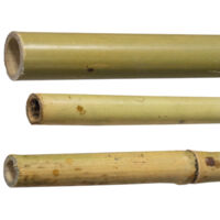 25 PZ CANNE CANNA DI BAMBOO PALI PALETTI TUTORE H.210 CM SPESSORE Ø 24/26