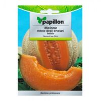 SEMI ORTO """MELONE RETATO""" - CF. BUSTA 3 GR.
