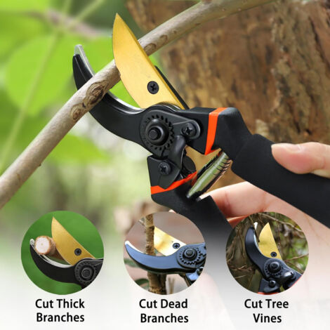 Lot De 3 Sécateurs De Jardin Professionnels – Acier Inoxydable, Coupe Nette, Poignées Ergonomiques Orange - 14
