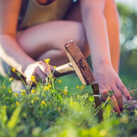 Lot de 10 piquets pour bordure de jardin 15cm