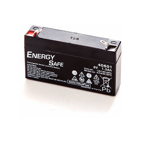 Batteria al piombo ENERGY SAFE 12V 5Ah : : Auto e Moto