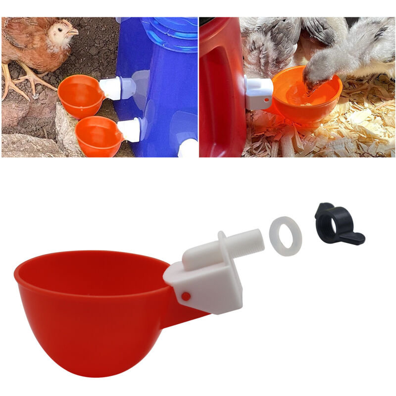 Abbeveratoio Per Pollo, 10 Pezzi Abbeveratoi Per Galline Per Pollame Dispenser Per Bevande Red Flock Anatra Acqua Per Alimenti Per Uccelli Per Piccioni Groofoo 84240331