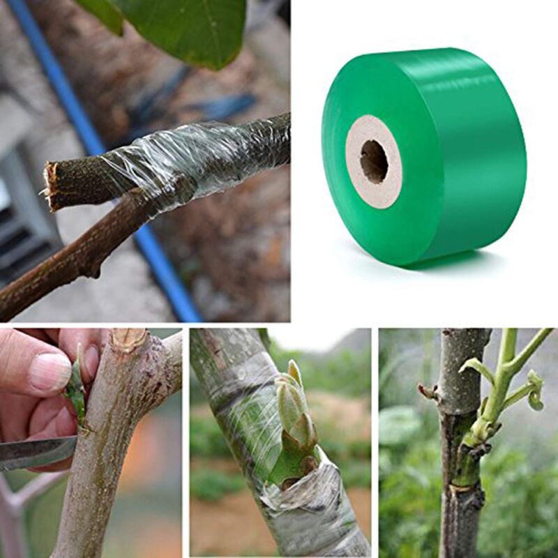 Tyenaza Nastro Per Innesto Autoadesivo Trasparente – Rotolo Da 3 Cm – Estensibile E Impermeabile – Per Alberi Da Frutto E Piante