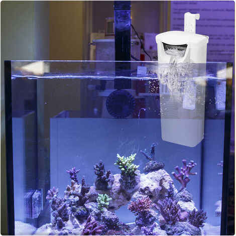 Filtro Interno Acquario 20-60L - 3W/4W, Con Spugne, Flusso Regolabile, Per Acqua Dolce/Mare