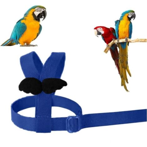 Giocattolo da masticare per uccelli, perline di legno colorate e blocchi di nodi, altalena sospesa per pappagallo, ara, cacatua grigio africano, amazzone, parrocchetto, maniche per insetti e Giocattolo da masticare per uccelli, perline di legno colorate e blocchi di nodi, altalena sospesa per pappagallo, ara, cacatua grigio africano, amazzone, parrocchetto, maniche per insetti e