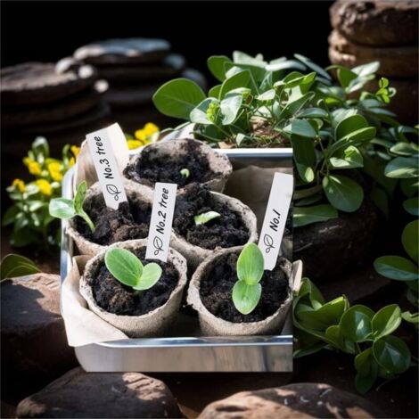 Etichette Scrivibili Giardino Etichette Per Piante Da Giardino - 200 Marcatori A Forma Di T In PVC, 10x6 Cm Etichette Scrivibili Per Semi