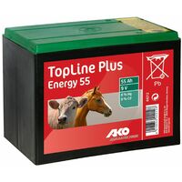 Batteria a Secco 9V 12V Zinco Carbonio 55Ah 90Ah 130Ah, per Elettrificatori da Recinzione elettrica, Rete Elettrificata, Recinto Pascolo, Pila Salina Batteria 55 AH