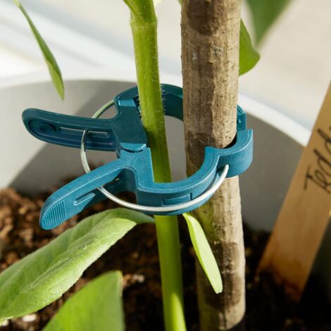 Toyvian 50 Stück Pflanzenstützclips – Tomaten- Und Orchideenklammern, Wiederverwendbar, Für Kletterpflanzen, Weinreben & Gemüse, Groß, Wetterfest