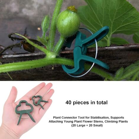 100 Pflanzenklammern Aus Kunststoff – Zum Stützen Von Tomaten, Gurken & Co. – Wiederverwendbar & Wetterfest 100 Pflanzenklammern Aus Kunststoff – Zum Stützen Von Tomaten, Gurken & Co. – Wiederverwendbar & Wetterfest